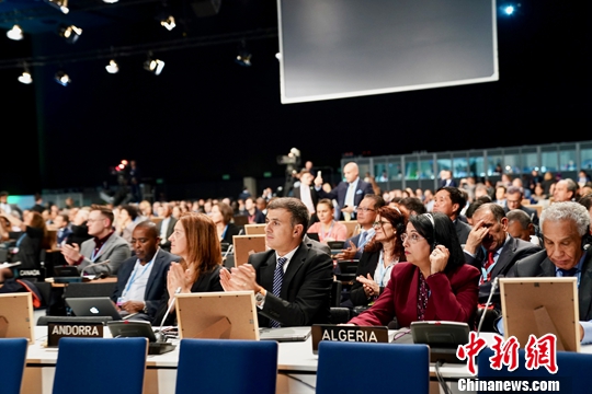 图为高级别会议开幕式现场。<a target='_blank' href='http://www.chinanews.com/'>中新社</a>记者 彭大伟 摄